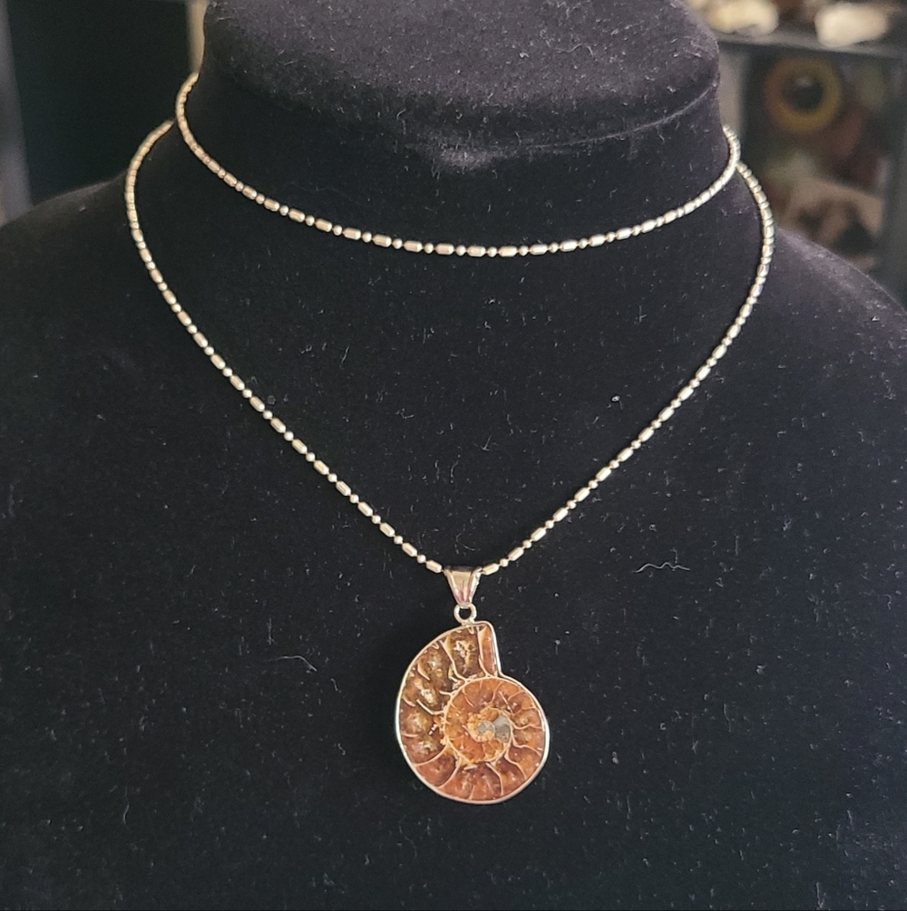 Ammonite In Sterling Pendant Necklace